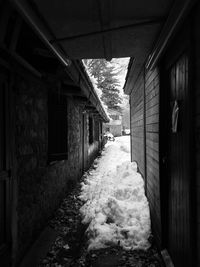 Walkway leading towards building