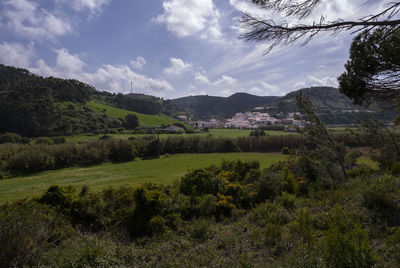 Scenic view of field against sky