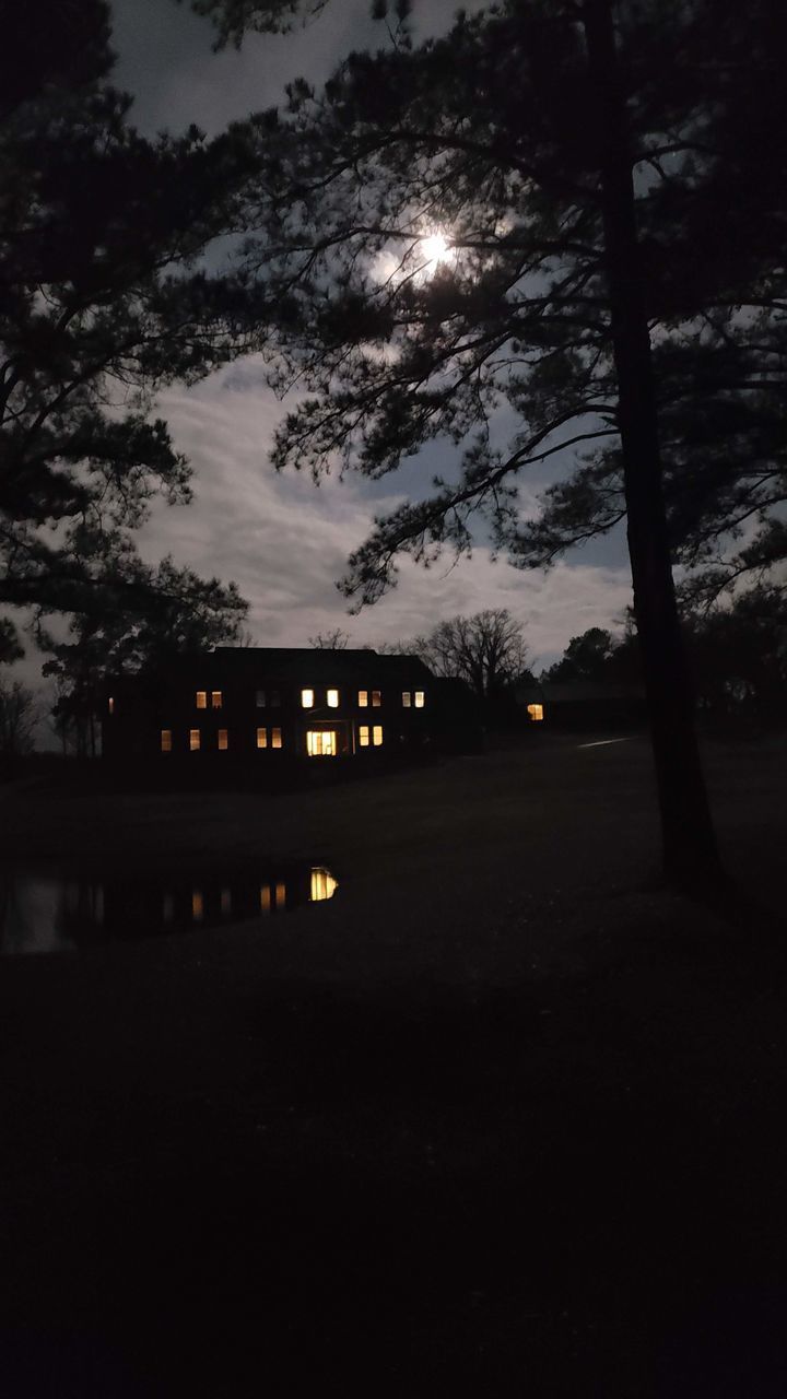 SILHOUETTE OF TREES AND BUILDING AT NIGHT