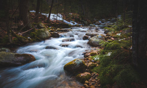 Stream flowing through rocks in forest