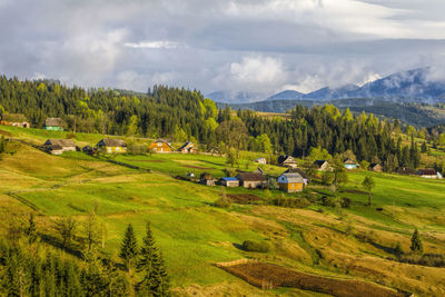 Scenic view of agricultural field against sky