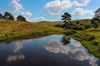 Scenic view of trees by lake against sky