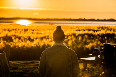 Rear view of man looking at sunset