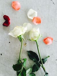 High angle view of damaged roses on floor