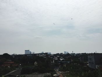 Birds flying over city against sky