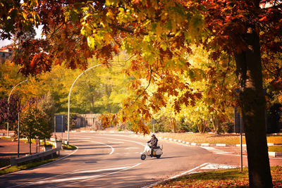 Man riding bicycle on road in city