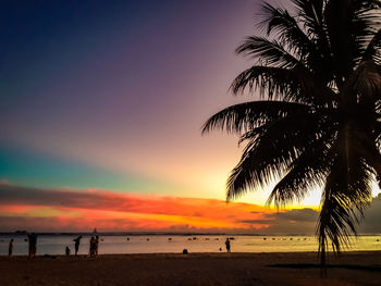 Silhouette palm trees on beach against sky during sunset