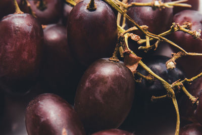 Close-up of fruits