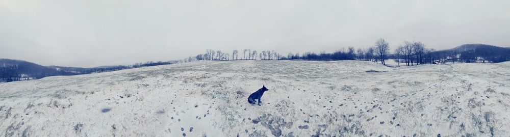 Person on snow covered land against sky