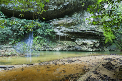 Scenic view of waterfall in forest