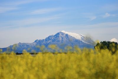 Scenic view of field and mountains against sky