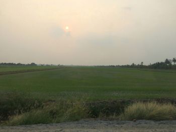 Scenic view of field against sky during sunset