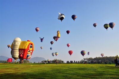 Hot air balloons flying over field against sky