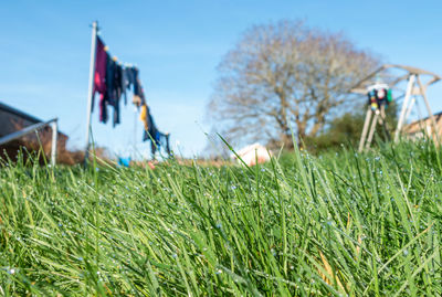 Close-up of flag on field against sky