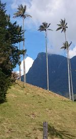 Scenic view of mountains against cloudy sky