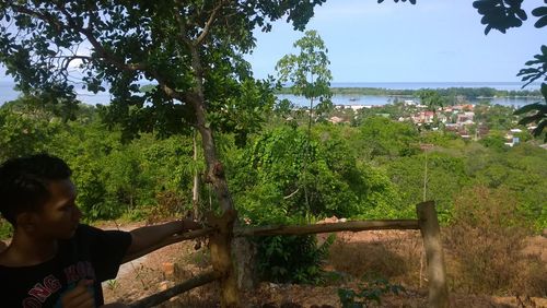 Rear view of boy on plants by trees against sky