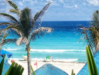 Palm trees on beach against blue sky