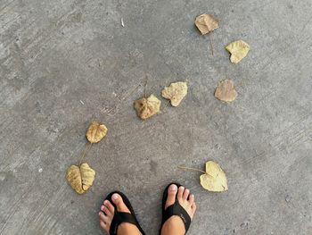 Low section of woman standing on autumn leaves