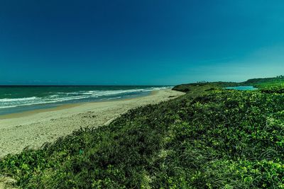 Scenic view of beach against clear blue sky