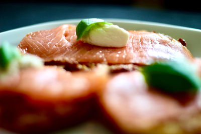 Close-up of meal served in plate