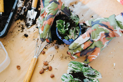 Cropped hands of person with potted plant