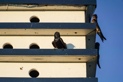 Low angle view of bird perching on birdhouse against sky