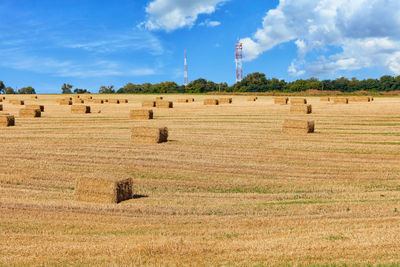 Large rectangular bales of straw on the stubble of an agricultural field against a blue sky. 