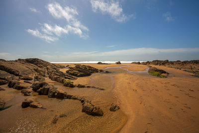 Scenic view of beach against sky