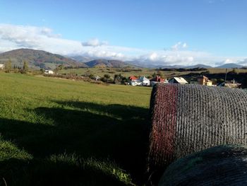 Scenic view of field against sky