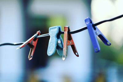 Close-up of clothes drying on clothesline