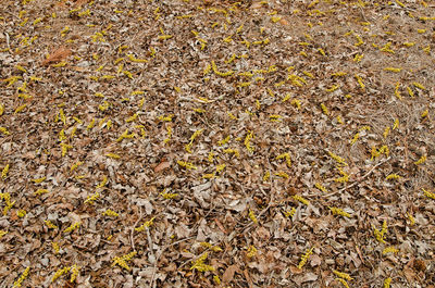 Full frame shot of white surface