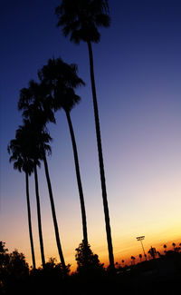 Low angle view of silhouette palm trees against sky during sunset