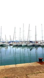 Sailboats moored in harbor against clear sky