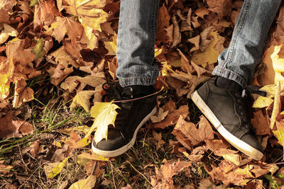 Low section of man standing on field