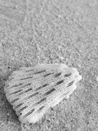 High angle view of wood on sand