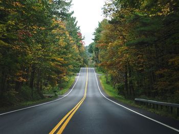 Empty road along trees