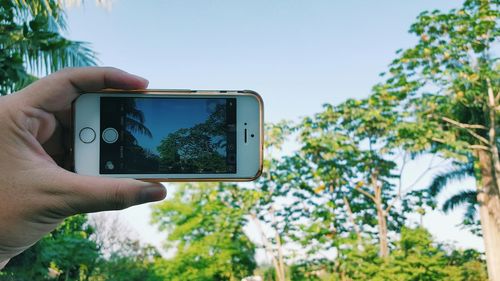 Cropped image of hand holding camera