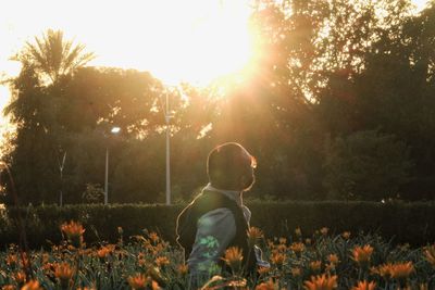 Rear view of boy standing on field against bright sun