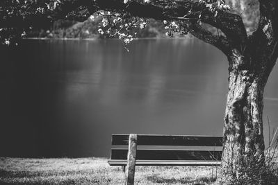 Scenic view of bench with lake and trees