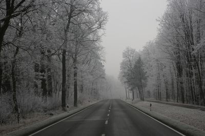 Empty road amidst trees against sky