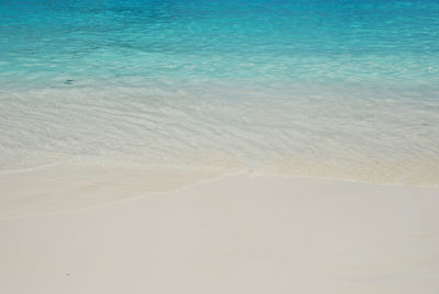 Scenic view of beach