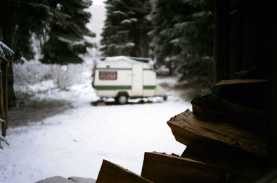 Snow covered trees in winter