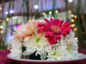 Close-up of pink flowers on table