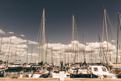 Sailboats moored at harbor against sky