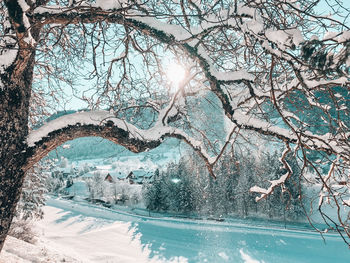 Snow covered trees against sky