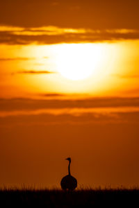 Silhouette woman standing on field against sky during sunset