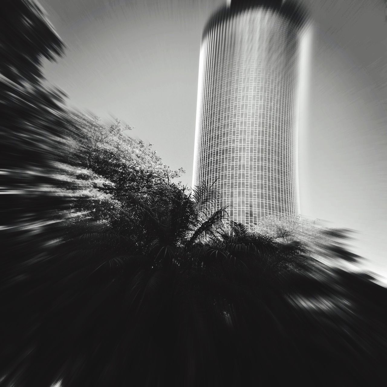 building exterior, sky, low angle view, no people, architecture, built structure, tree, close-up, outdoors, day, nature, water, skyscraper