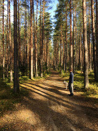Rear view of man walking amidst trees in forest