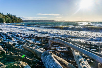 Waves roll in on a windy day at saltwater state park in des moines, washington.