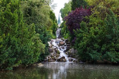 Scenic view of waterfall in forest